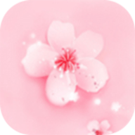 9.1免费版安装APP应用